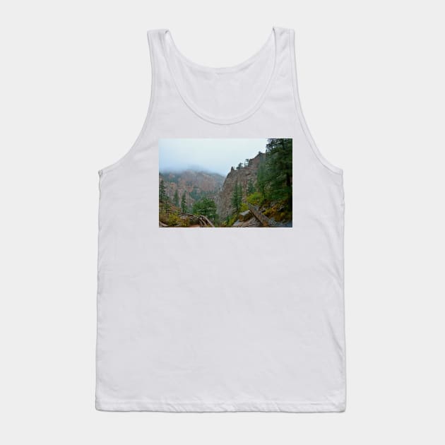 Seven Falls Pastoral Study 4 Tank Top by bobmeyers